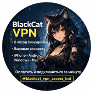 BlackCat VPN ‍⬛
