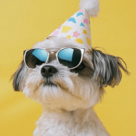 best funny videos