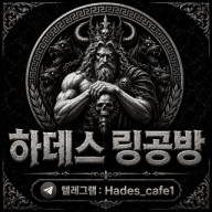 하데스 링공방