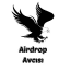 Airdrop Avcısı