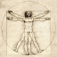 Anatomia