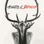 Angels & Demons