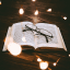 Bio and text