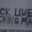 The Black Lives Revolution (BLM)