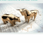 Banknifty Nifty calls Premium Group