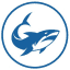 Bounty Shark