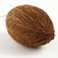 CoolCoconut Tips