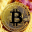 IQ OPTIONS BINARY AND TRADING PLATFORM