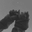suicide