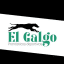 El Galgo Pronósticos Deportivos