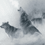 Ruf des weißen Wolfes