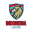 INDONESIA LEAKS