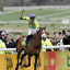 Irish Betting Pro