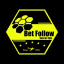 Bet Signals