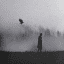 — zαleα