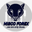MISCO FOREX INSTITUTE