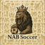 Nab Soccer