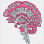 Neuroscience
