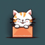 Amazon offerte gatto