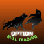 Option Bull Trading(Daily BankNifty Trade given)