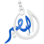 الدكتور محمود عبد الرازق الرضواني