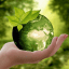 Ecologia news