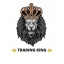 TRADING KING