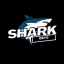 Shark bets