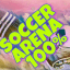 SOCCER ARENA100%
