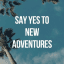 Daily Quotes