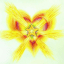 Heartfulness Daaji's 90 days challenge "Practice like never before, Tapasya like never before."