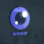 Wozur international ltd