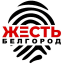 Жесть Белгород