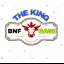 KING OF BANKNIFTY AND NIFTY