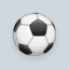 Fixed Matches