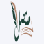 قناة( متصل )