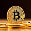 FREE FOREX SIGNALS & BINARY OPTIONS