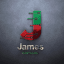 JAMES GOLD MASTER