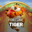 SALA DE SINAL FORTUNE TIGER