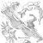 Tutoriales de Dibujo | Referencia de dibujo | Drawing Reference