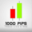 1000PIPS BULLDER