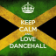 RIDDIMS & DANCEHALL Zip Files