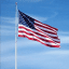 Americans Forex Trading Group