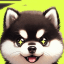 Funny Cats, Dogs Video