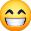 GIF & Video PazZi