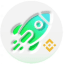 Binance Leverage Pumps