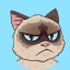 Grumpy Announcements