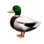 DuckAcc | Free Accounts Steam