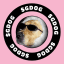 $GDOG | Solana Meme
