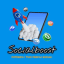 Incrementi e Follower Social Network